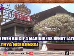 Dari Even Brigif 4 Marinir Bs Rehat Latpur, Saatnya Ngebonsai