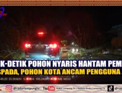 Detik Detik Pohon Nyaris Hantam Pemotor, Waspada, Pohon Kota Ancam Pengguna Jalan
