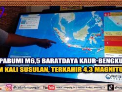 Gempa Bumi M6,5 Baratdaya Kaur Bengkulu, Enam Kali Susulan, Terakhir 4,3 Magnitudo