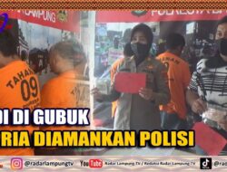 Judi Di Gubuk, 5 Pria Diamankan Polisi