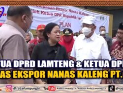 Ketua DPRD Lamteng & Ketua DPR RI, Lepas Ekspor Nanas Kaleng PT GGF