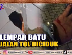 Pelempar Batu Di Jalan Tol Diciduk