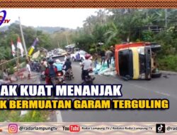 Tidak Kuat Menanjak, Truk Bermuatan Garam Terguling