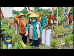 YULIUS HERI HARAP SETIAP KAMPUNG MILIKI TANAMAN TOGA