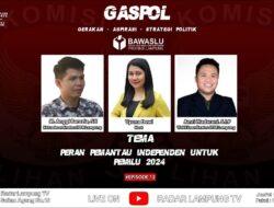 PERAN PEMANTAU INDEPENDEN UNTUK PEMILU 2024