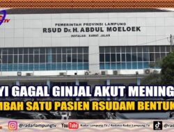 Bayi Gagal Ginjal Akut Meninggal, Tambah Satu Pasien Rsudam Bentuk Tim