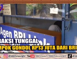 Beraksi Tunggal, Rampok Gondol Rp13 Juta Dari Brilink