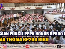 Dugaan Pungli PPPK Lampung Tengah, Honor Rp800 Ribu, Cuma Terima Rp200 Ribu