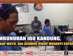Pembunuhan Ibu Kandung, Ungkap Motif, Bui Seumur Hidup Menanti Saparudin