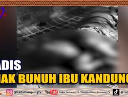 Sadis,  Anak Bunuh Ibu Kandung