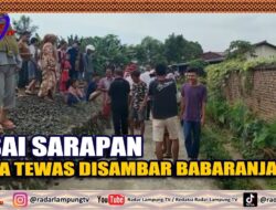Usai Sarapan Pria Tewas Disambar Babaranjang