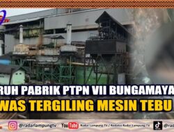 KECELAKAAN KERJA : Buruh PTPN VII Lampung Meninggal Tergiling Mesin Tebu