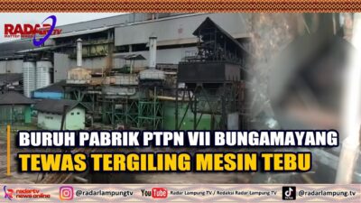 KECELAKAAN KERJA : Buruh PTPN VII Lampung Meninggal Tergiling Mesin Tebu