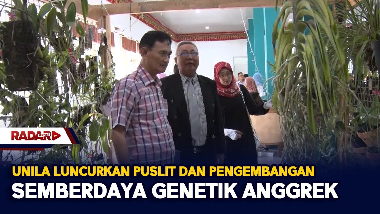 Unila Luncurkan Puslit Dan Pengembangan Semberdaya Genetik Anggrek ...
