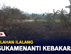 Lagi Lahan Ilalang Di Sukamenanti Kebakaran