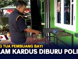 Orang Tua Pembuang Bayi Dalam Kardus Diburu Polisi