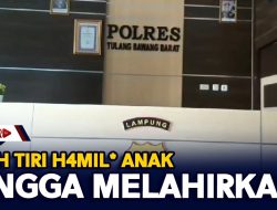 Ayah Tiri H4mil* Anak Hingga Melahirkan