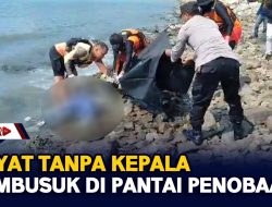 Mayat Tanpa Kepala Membusuk Di Pantai Penobaan