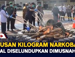 Ratusan Kilogram Narkoba Gagal Diselundupkan Dimusnahkan