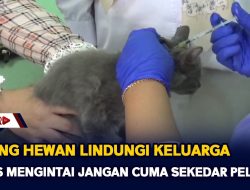 Sayang Hewan, Lindungi Keluarga, Rabies Mengintai Jangan Cuma Sekedar Pelihara
