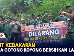 Takut Kebakaran, Warga Gotong Royong Bersihkan Lahan