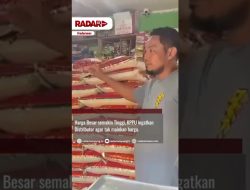harga beras melambung tinggi
