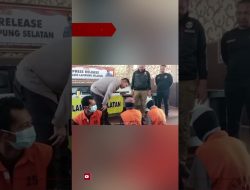komplotan pencuri sapi berusia 15 tahun ditangkap