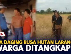 Bawa Daging Rusa Hutan Larangan, 2 Warga Ditangkap