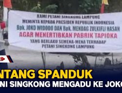 Bentang Spanduk, Petani Singkong Mengadu Ke Jokowi