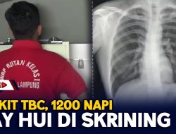 1 Sakit TBC, 1200 Napi Way Hui Di Skrining