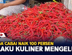 Harga Cabai Naik 100 Persen, Pelaku Kuliner Mengeluh