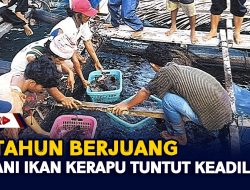 10 Tahun Berjuang, Petani Ikan Kerapu Tuntut Keadilan