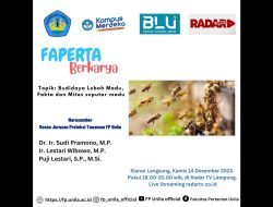 BUDIDAYA LEBAH MADU, FAKTA DAN  MITOS SEPUTAR MADU