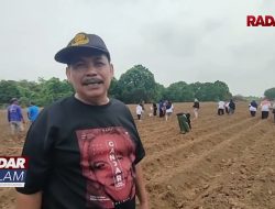 Manfaatkan Lahan Kosong, Sumarsono Ajak Masyarakat Tanam Padi Dan Jagung