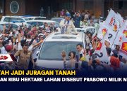 Bantah Jadi Juragan Tanah, Ratusan Ribu Hektare Lahan Disebut Prabowo Milik Negara