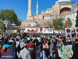 STOP GENOSIDA PALESTINA, KABAR TERKINI RELAWAN