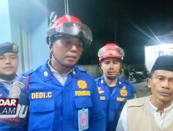 Damkarmat Evakuasi 2 Sapi yang Hendak Kabur