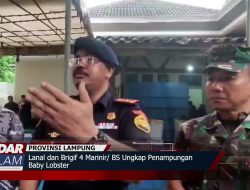 Lanal dan Brigif 4 Marinir BS Ungkap Penampungan