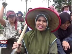 Kesal Tak Ada Respon Pemkab, Emak Emak Perbaiki Jalan Rusak