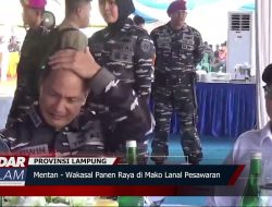 Mentan   Wakasal Panen Raya di Mako Lanal Pesawaran