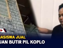Mahasiswa Jual Ribuan Butir Pil Koplo