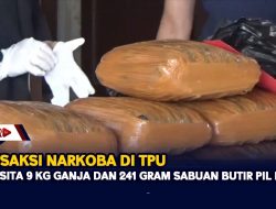 Polisi Sita 9 Kg Ganja dan 241 Gram Sabu