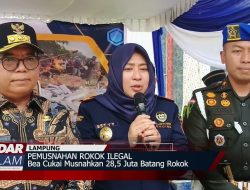 Bea Cukai Musnahkan 28,5 Juta Batang Rokok