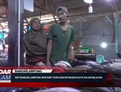 DKP Bandar Lampung Beri Bibit Ikan dan Ratakan Kuota Solar Nelayan