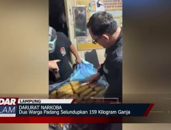 Dua Warga Padang Selundupkan 159 Kilogram Ganja