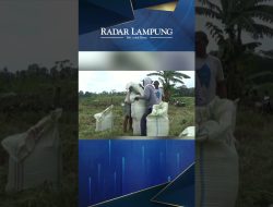 Petani Terima Bantuan Cultivator dan Pelatihan Trichokompos dari Bupati Lamsel Nanang Ermanto