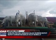 KORUPSI PROYEK GERBANG GAJAH RUMDIS BUPATI, Bupati Dawam Rahardjo Sulit Berkelit
