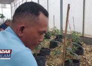 Napi Rutan Ubah Pekarangan Jadi Kebun Produktif