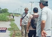 Ribuan Hektar Padi Terancam Gagal Tanam