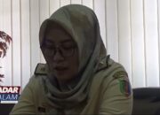 Sebanyak 13 705 Kendaraan Dinas Nunggak Pajak